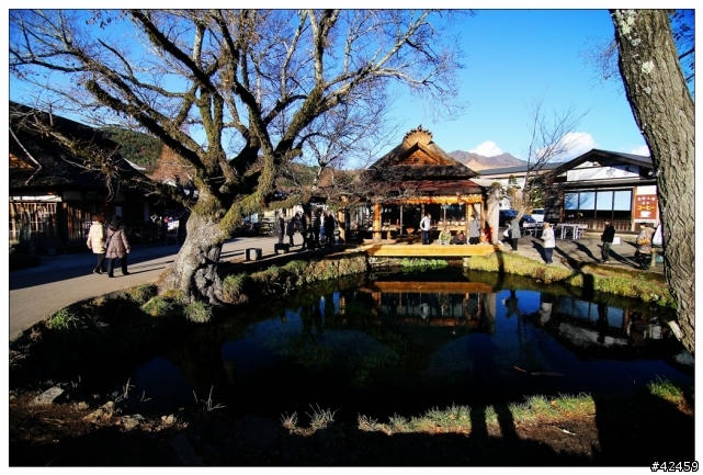 [SKYWAVE TYPE-S]富士山賞楓小品