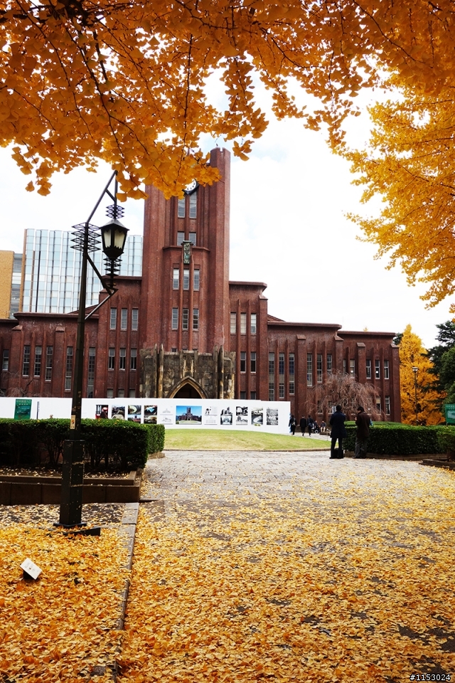 深秋銀杏．東京 外苑前並木道 & 東京大學