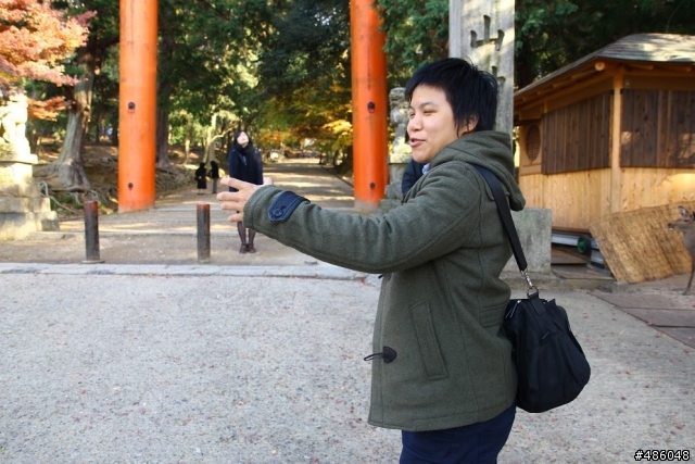 【京都】4# 奈良の紅葉