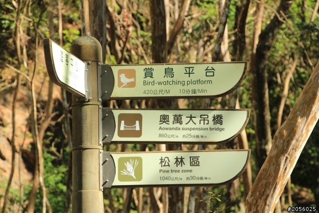 我的第一次拜訪奧萬大森林遊樂區