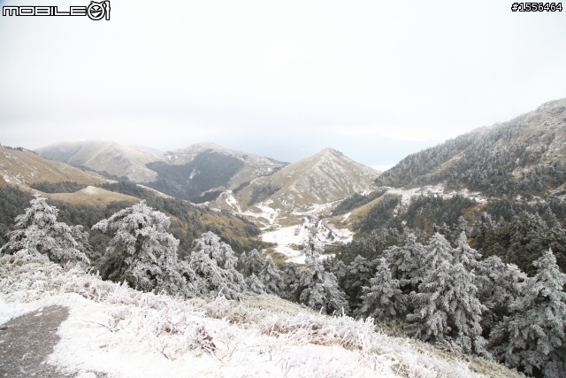 歲末賞雪