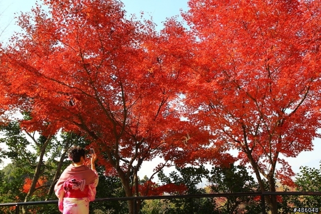 【京都】3# 清水寺