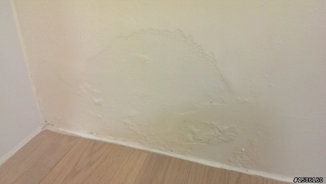 剛交屋一個月的中古屋出現壁癌