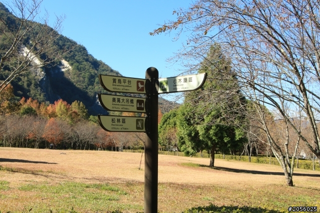 我的第一次拜訪奧萬大森林遊樂區