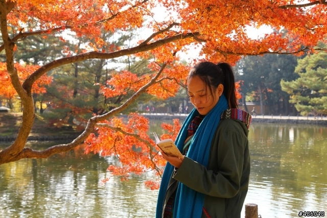 【京都】4# 奈良の紅葉