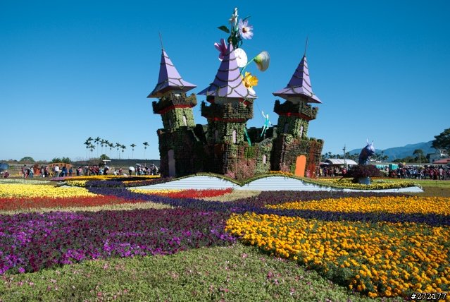 分享單腳架增高術及高角度拍攝