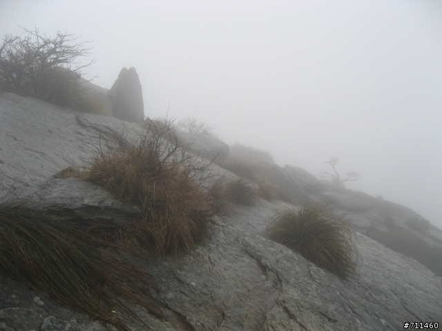 年行萬里 ~ D16 聽得到 看不見的鄱陽湖 廬山-東線景區-五老峰-南昌