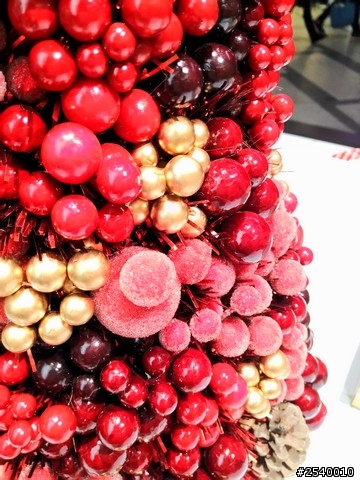 帶著NPFI，輕鬆日本關西行