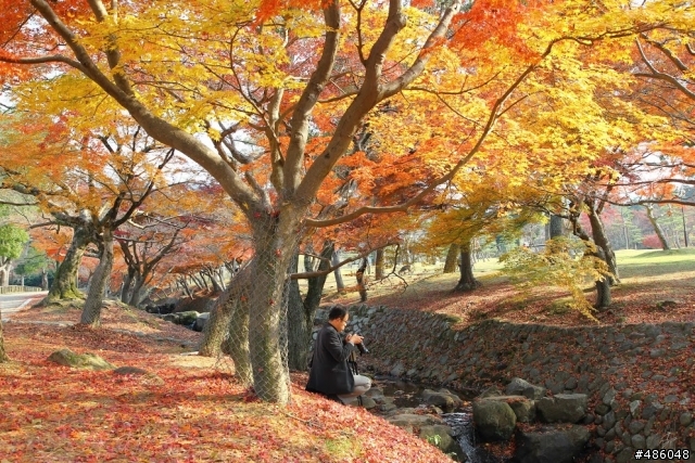 【京都】4# 奈良の紅葉