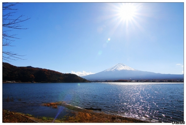 [SKYWAVE TYPE-S]富士山賞楓小品