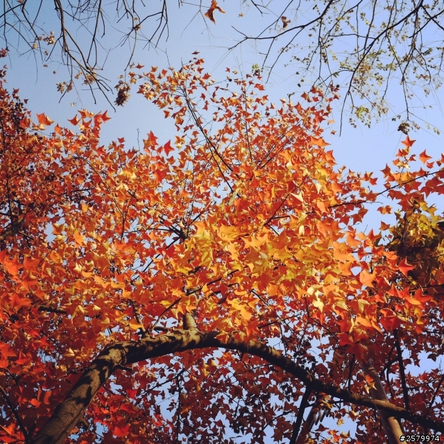 人生海海，邊走邊拍——XM1