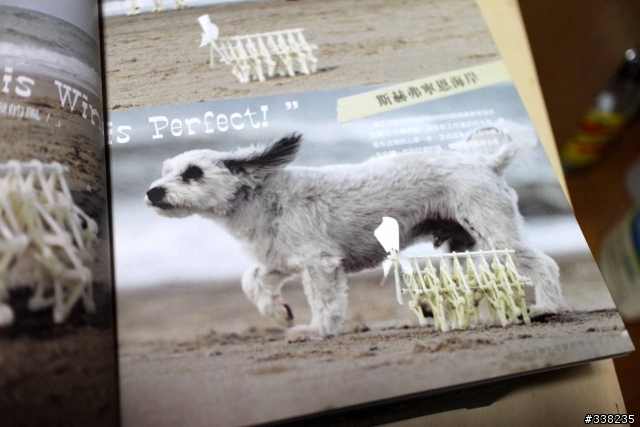 [開箱分享]大人的科學~泰奧‧揚森迷你仿生獸