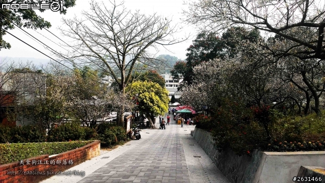 美食狗汪汪【嘉義-遊記】雪巔上的咖啡香 嘉義梅山公園