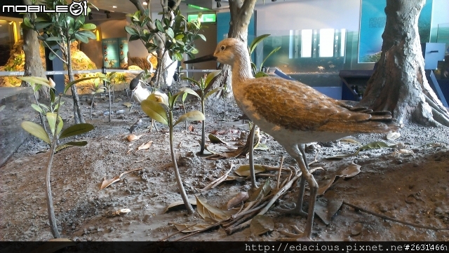 美食狗汪汪【基隆-遊記】期待已久的海洋科技博物館