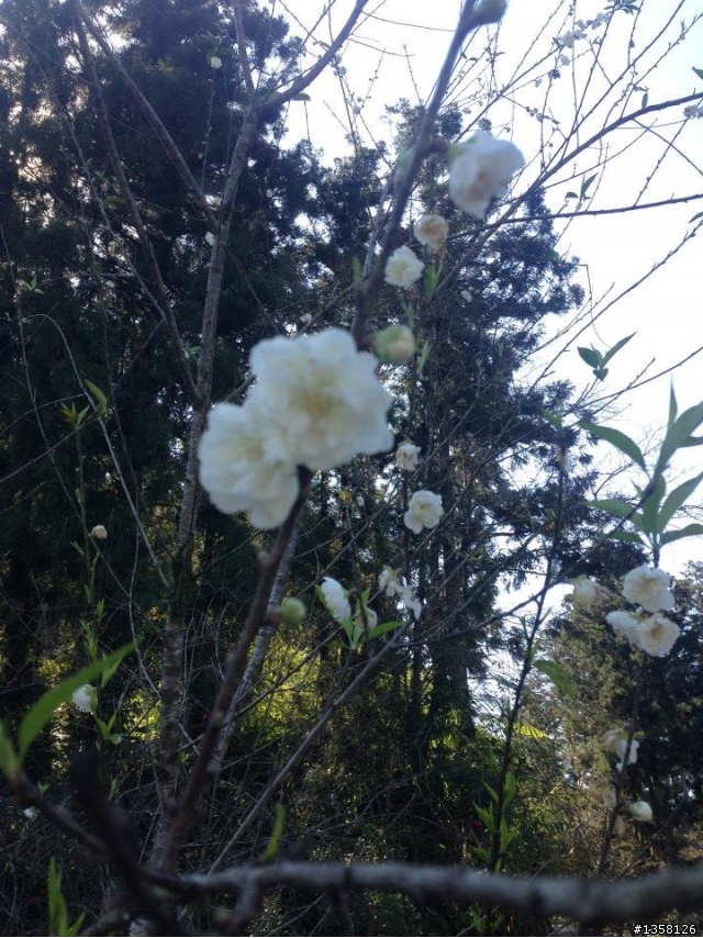 2014-01-25 首征宜蘭太平山之騎