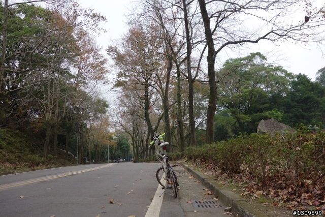 2014年首發團，Masi欣騎天之石門水庫好楓景，