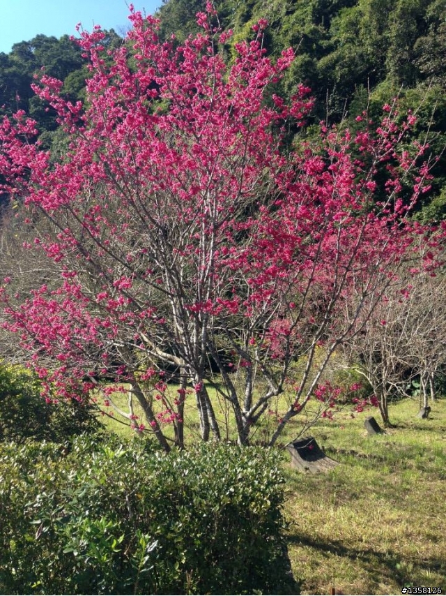2014-01-25 首征宜蘭太平山之騎