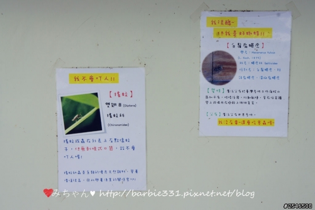 ♥宜蘭民宿分享♥天空島上的小木屋