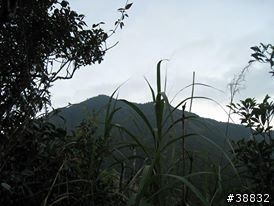 2014/01/19 花蓮 虎頭山 一等三角點