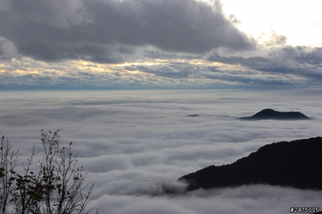 kuga 24小時免費開回家 #阿里山#新中橫#中橫#武嶺#逢假夜市#清水休息站#超速#吃紅單#走馬瀨農場