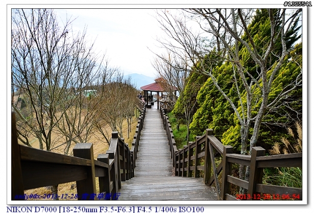 青青草原綿羊秀