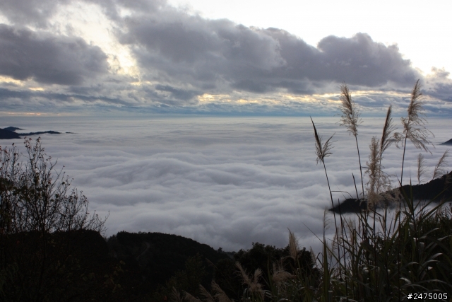 kuga 24小時免費開回家 #阿里山#新中橫#中橫#武嶺#逢假夜市#清水休息站#超速#吃紅單#走馬瀨農場