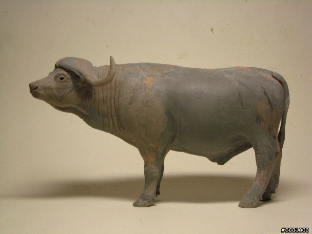 仿真動物原型製作～非洲水牛