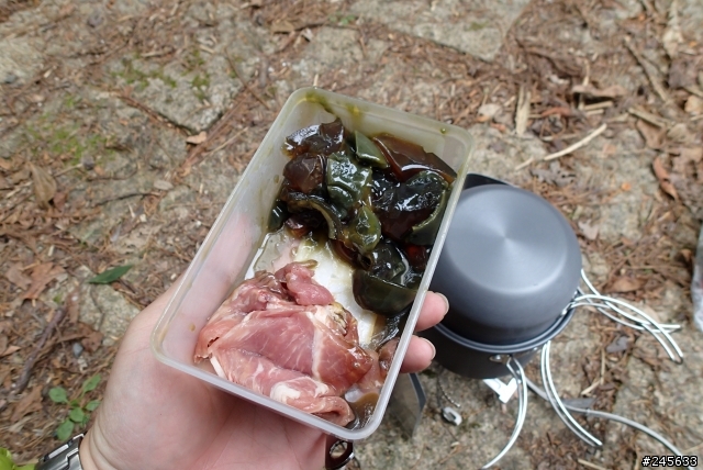請推薦林道用登山背包