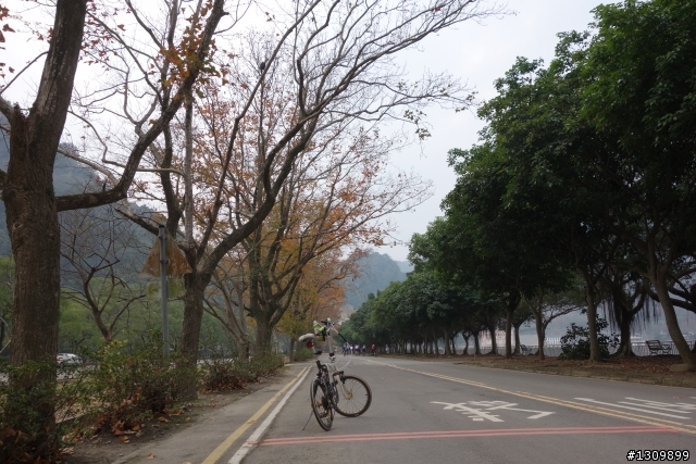 2014年首發團，Masi欣騎天之石門水庫好楓景，