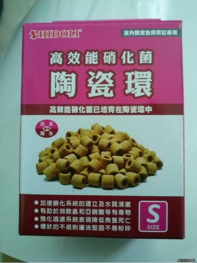 極火蝦新設缸後一天死四隻