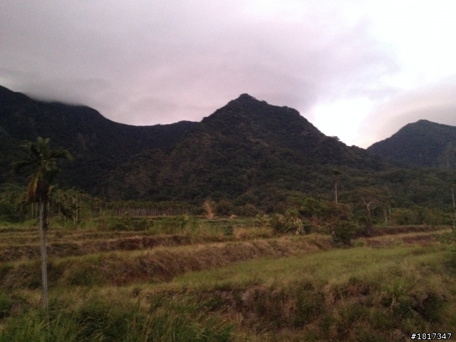 都蘭山下蘇菲小酒館