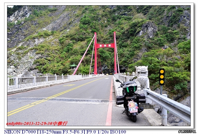 中橫慈母橋發現飛禽走獸