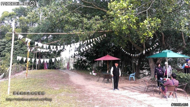 美食狗汪汪【嘉義-遊記】雪巔上的咖啡香 嘉義梅山公園