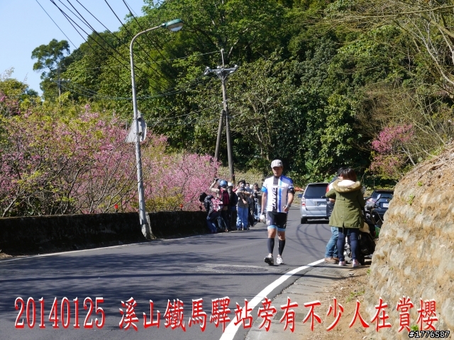 20140125  平菁街42巷陽明山賞櫻之旅