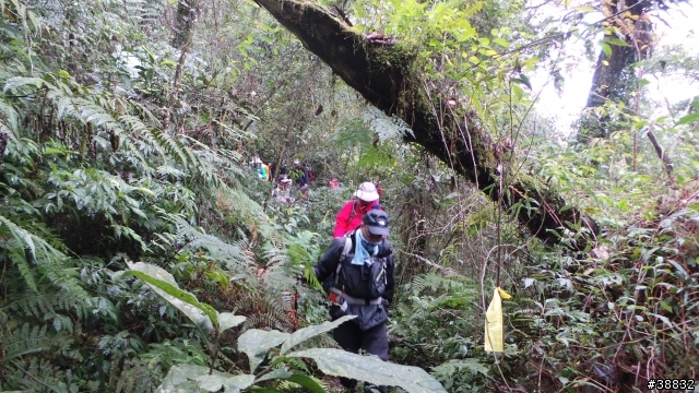 2014/01/19 花蓮 虎頭山 一等三角點
