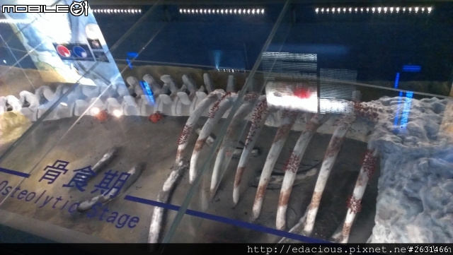 美食狗汪汪【基隆-遊記】期待已久的海洋科技博物館