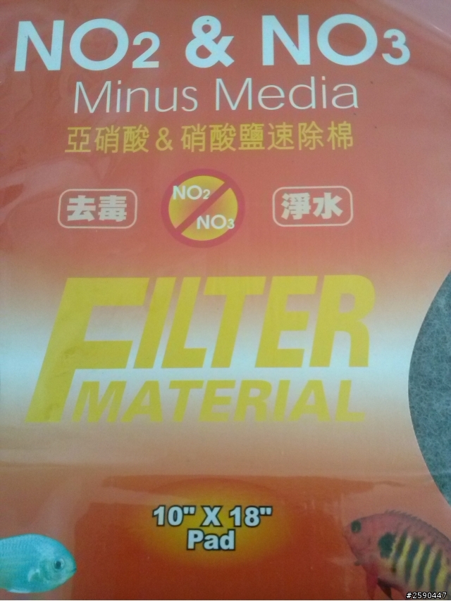 極火蝦新設缸後一天死四隻