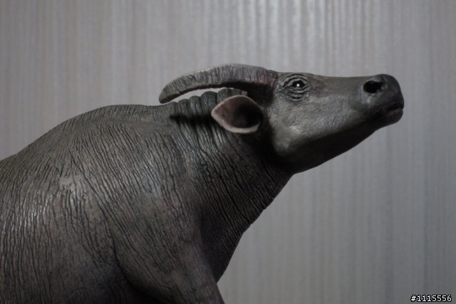 仿真動物原型製作-印度水牛