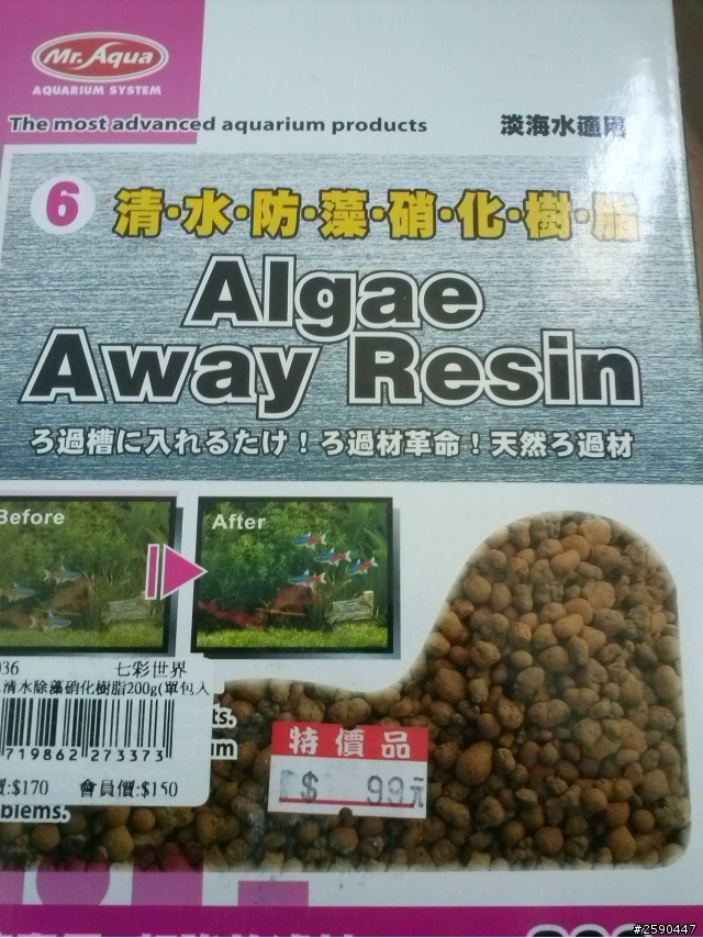 極火蝦新設缸後一天死四隻