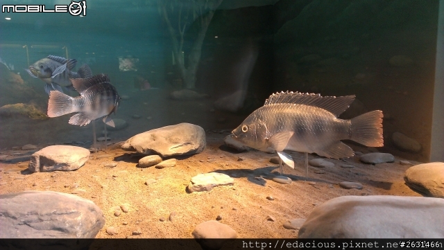 美食狗汪汪【基隆-遊記】期待已久的海洋科技博物館