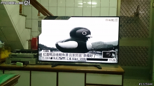小敏 有看過 奇美 50吋 黑白電視嗎？