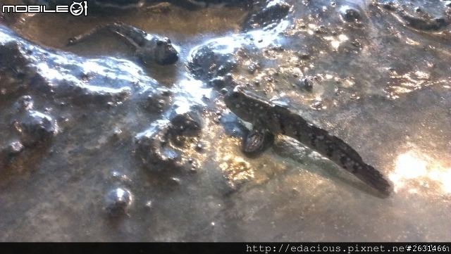 美食狗汪汪【基隆-遊記】期待已久的海洋科技博物館