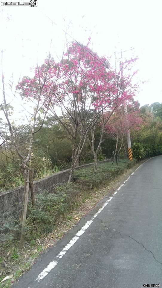 new one相機 嚴重請益