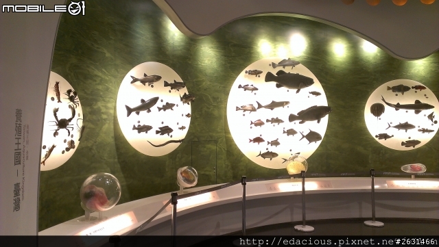 美食狗汪汪【基隆-遊記】期待已久的海洋科技博物館