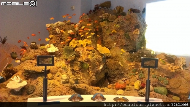 美食狗汪汪【基隆-遊記】期待已久的海洋科技博物館