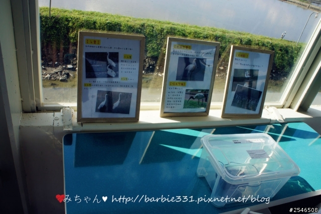 ♥宜蘭民宿分享♥天空島上的小木屋