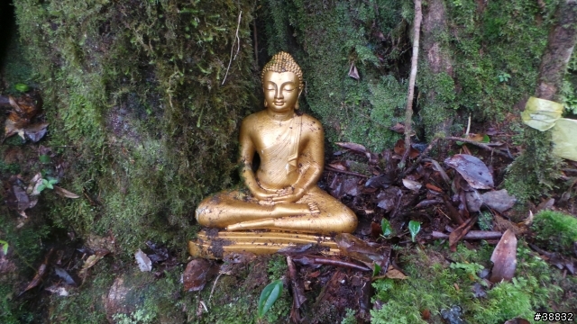 2014/01/19 花蓮 虎頭山 一等三角點