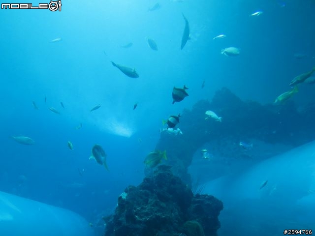 卒業．旅行．環島 - 感謝用行動 為默默付出的白衣天使加油 第六天