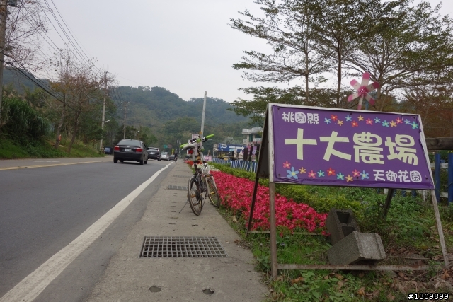 2014年首發團，Masi欣騎天之石門水庫好楓景，