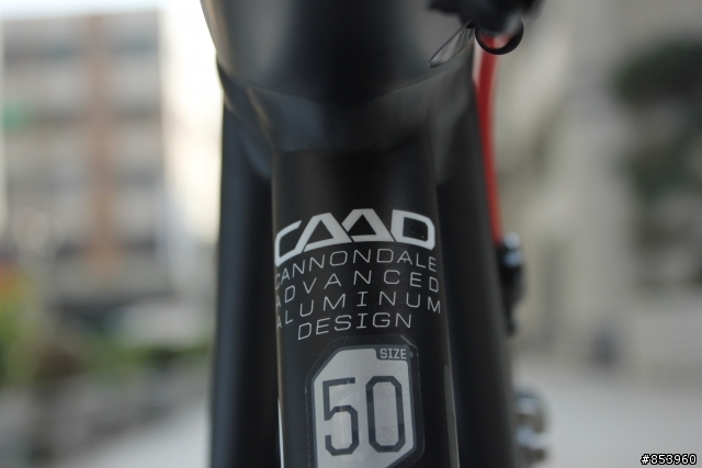 [開箱]2013 CANNONDALE CAAD 10 白/黑塗裝